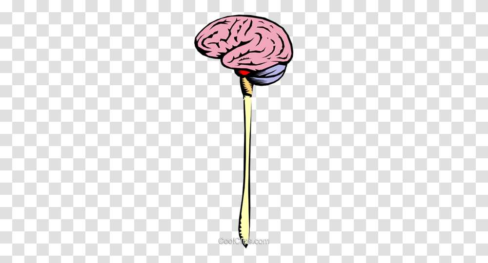Brain Stem Royalty Free Vector Clip Art Illustration, Weapon, Brush, Tool, Toothbrush Transparent Png