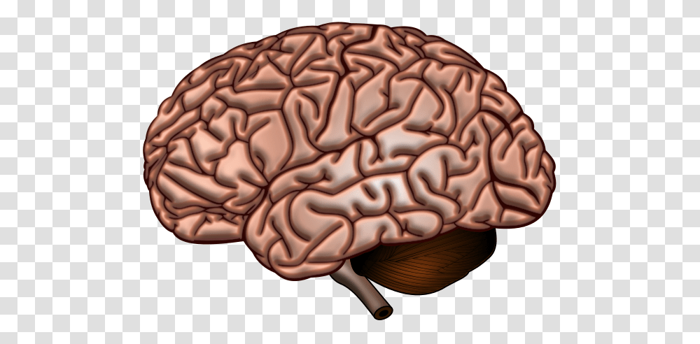 Brain Surface, Cushion, Bronze, Pillow, Urban Transparent Png