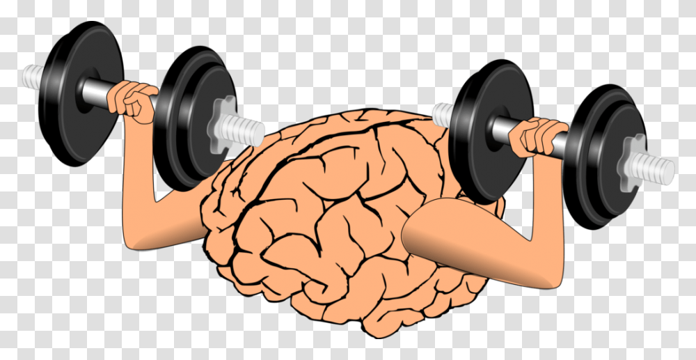 Brain Training Clipart, Working Out, Sport, Exercise, Fitness Transparent Png
