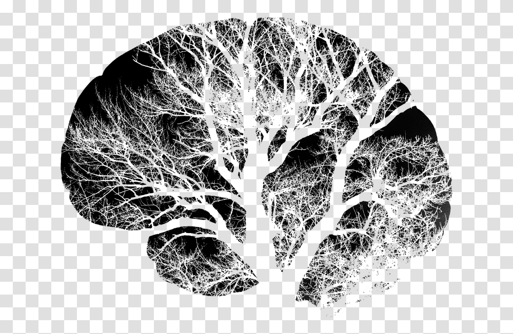 Brain Tree Black Free Image Images White Brain Clipart, Plant, Silhouette, Tree Trunk, Oak Transparent Png