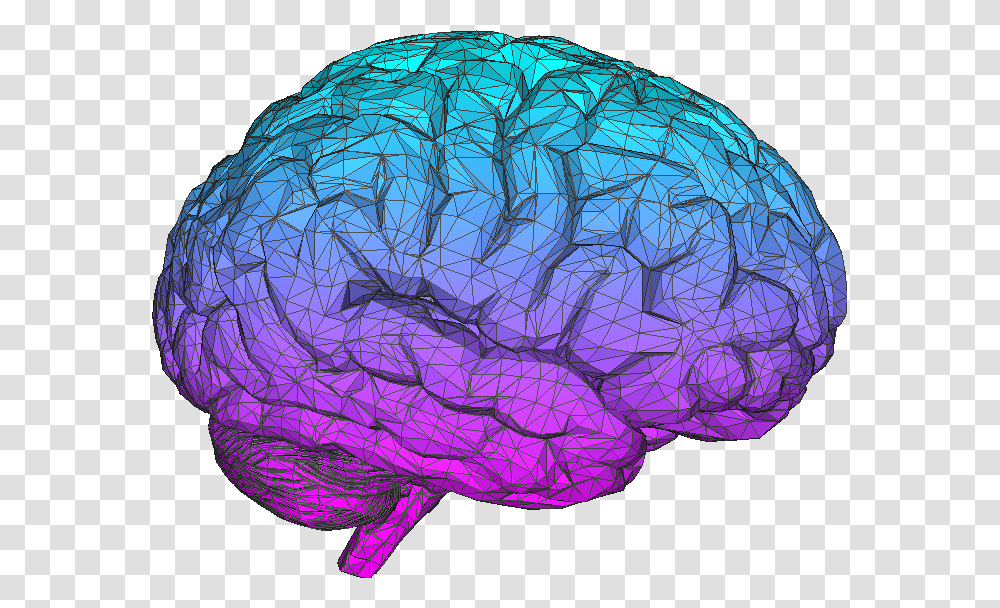 Brain Tumblr Brain, Sphere, Astronomy, Outer Space, Universe Transparent Png