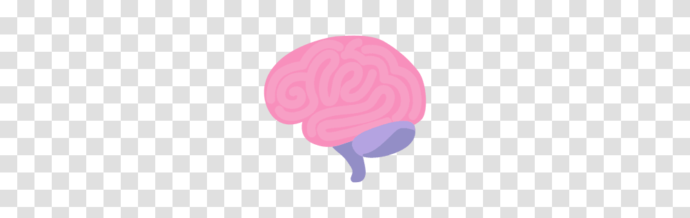 Brain With Bolt Illustration, Hat, Apparel Transparent Png