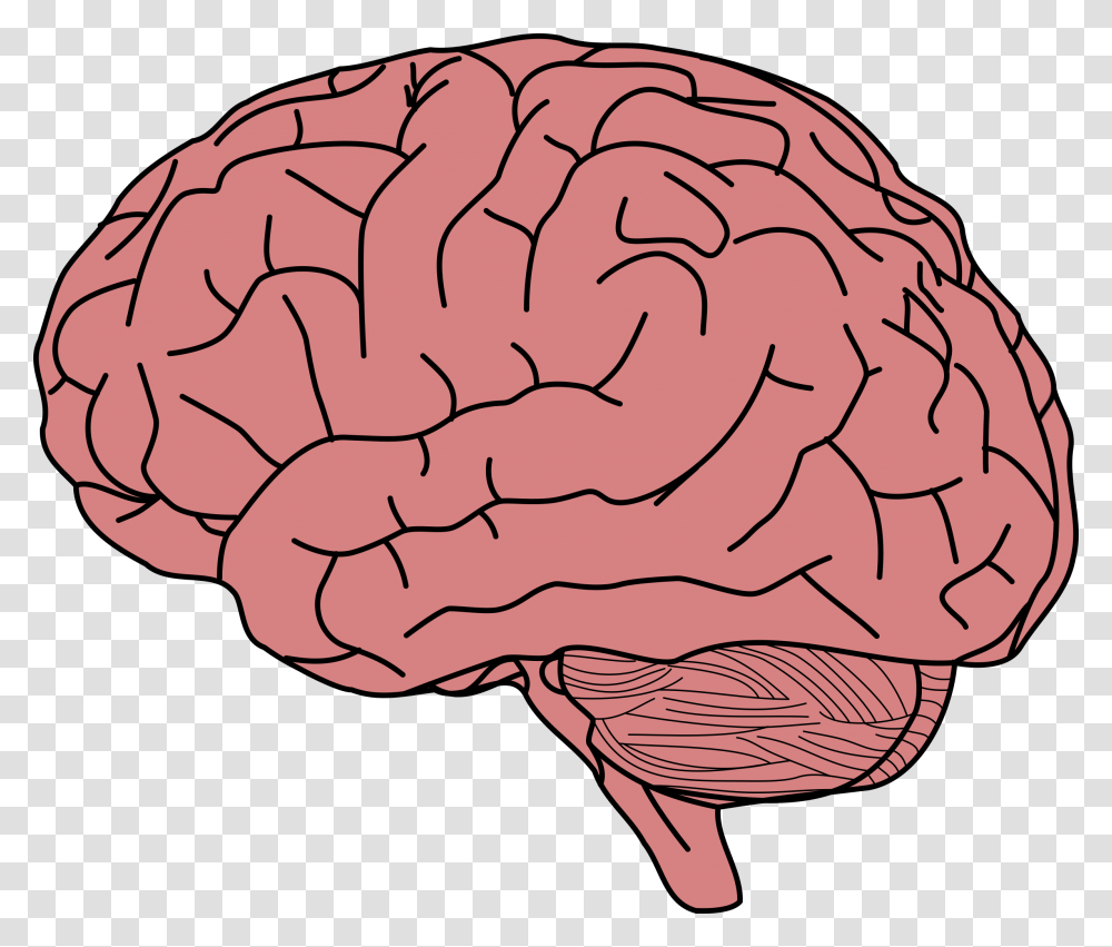 Brain With No Background, Rock, Pattern, Pillow, Cushion Transparent Png