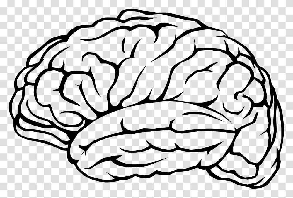 Brains Clipart Line Drawing, Gray, World Of Warcraft Transparent Png