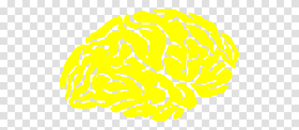 Brains Clipart Yellow, Pattern, Bonfire, Plant, Paper Transparent Png
