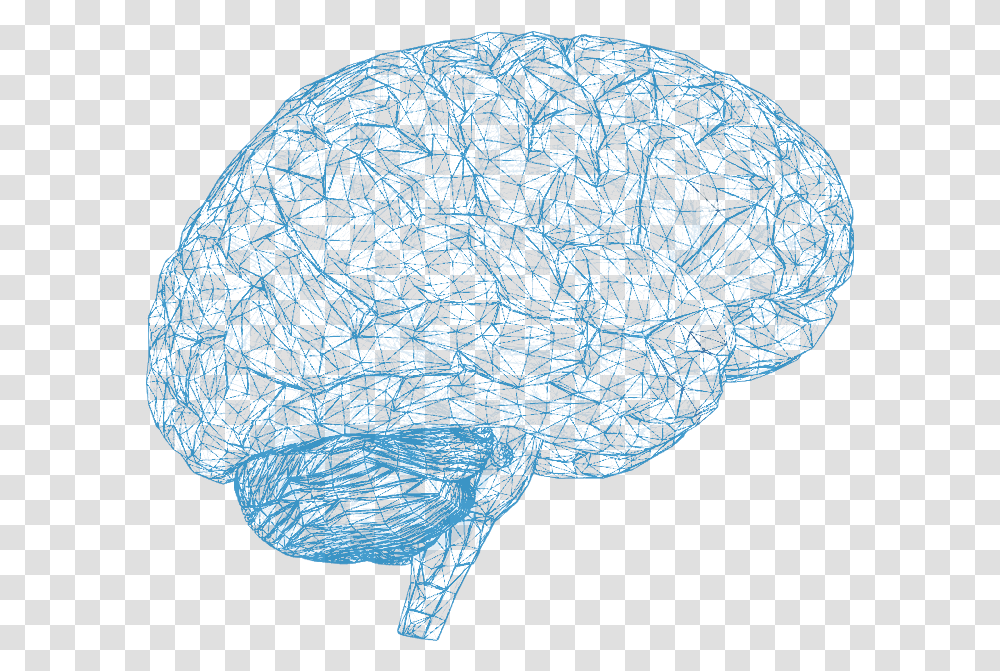 Brainscan Brains, Sphere, Astronomy, Outer Space, Universe Transparent Png