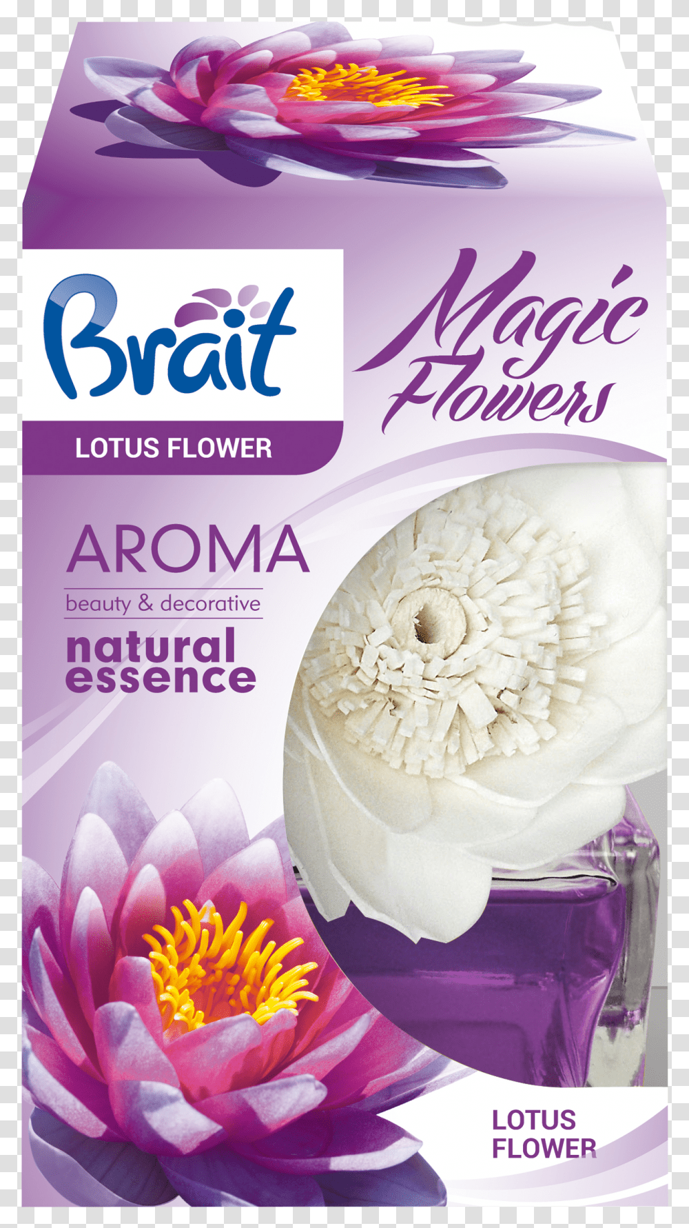 Brait Magic Flower, Plant, Blossom, Paper, Peony Transparent Png