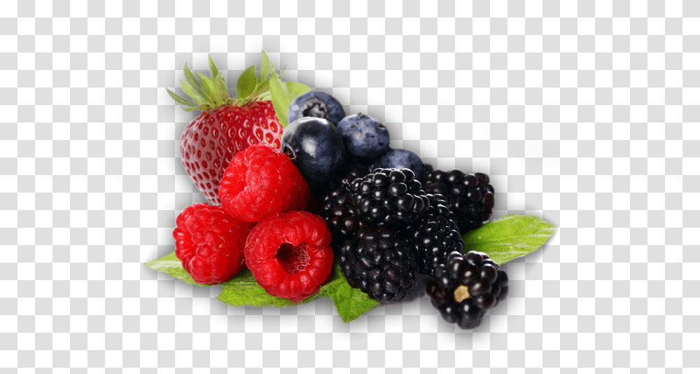 Bramble Background Berries, Raspberry, Fruit, Plant, Food Transparent Png