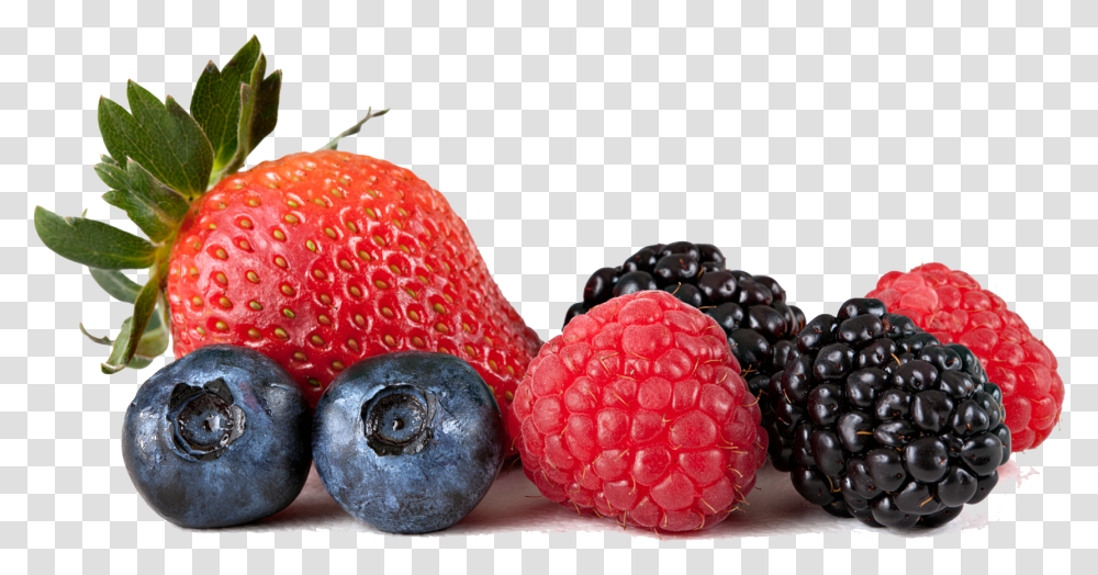 Bramble Berries Background, Plant, Blueberry, Fruit, Food Transparent Png