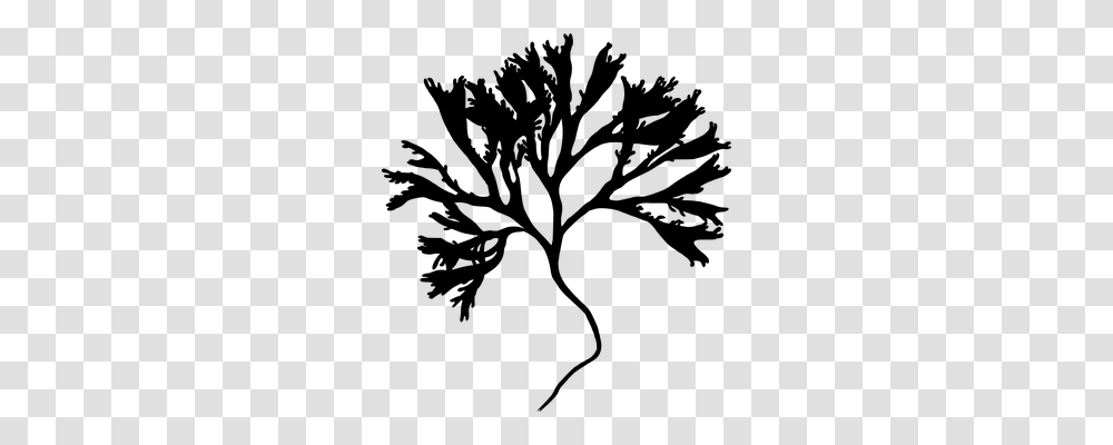 Branch Technology, Gray, World Of Warcraft Transparent Png