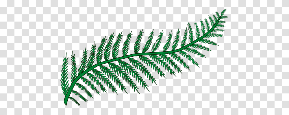 Branch Nature, Plant, Leaf, Fern Transparent Png