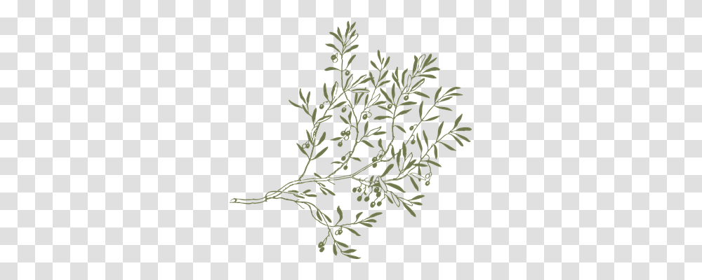 Branch Nature, Plant, Flower, Blossom Transparent Png