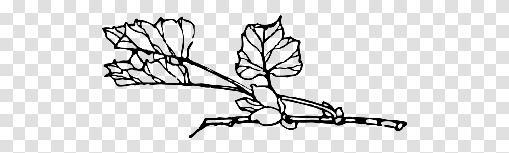 Branch And Berries Clipart For Web, Gray, World Of Warcraft Transparent Png