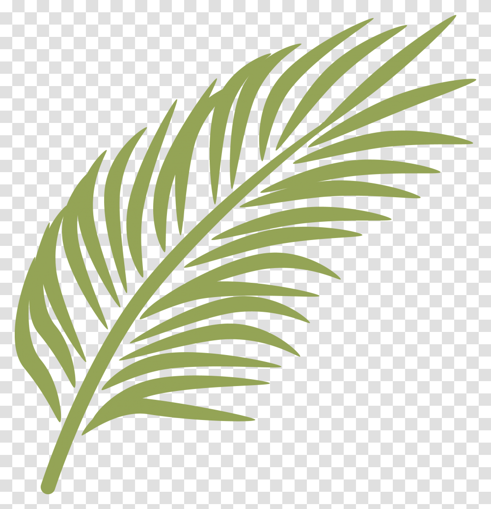 Branch Arecaceae Clip Art Banana Leaf Transprent Palm Sunday Leaves Clipart, Plant, Pineapple, Food, Green Transparent Png