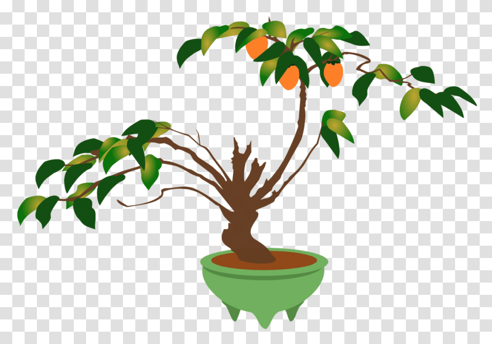Branch Bonsai Flowerpot Ornamental Plant Houseplant Free, Tree, Palm Tree, Arecaceae, Tree Trunk Transparent Png