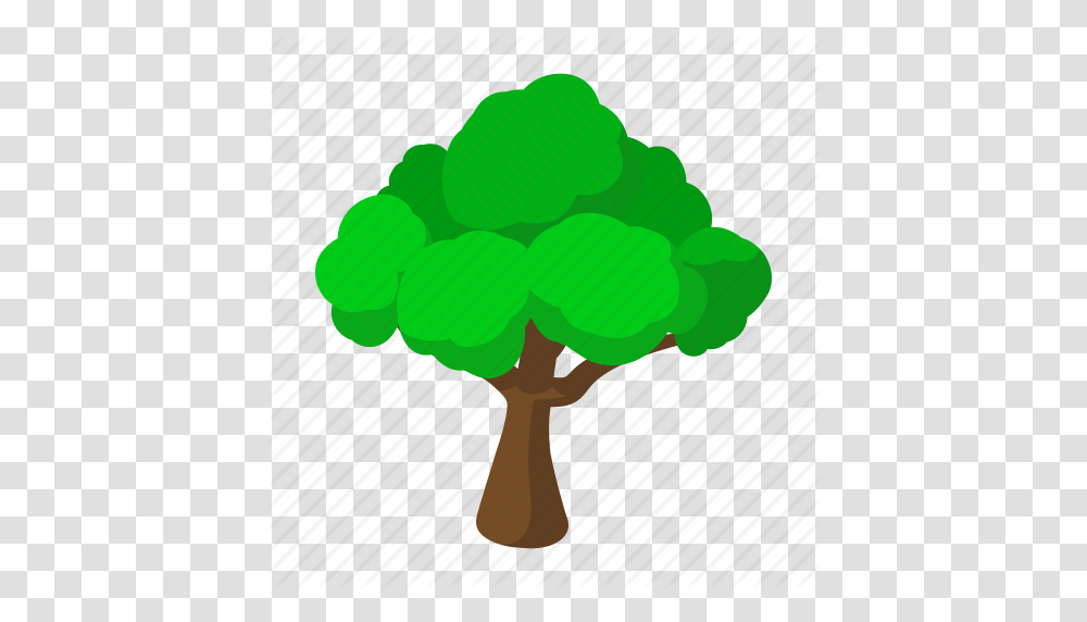 Branch Cartoon Decoration Nature Tree Trunk Wood Icon, Rattle Transparent Png