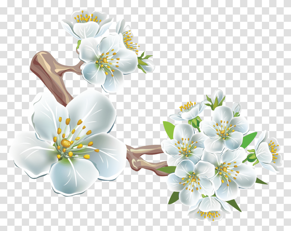 Branch Clip Art Spring Flowers Download 1280998 Cherry Blossom, Plant, Pollen, Anther, Lily Transparent Png