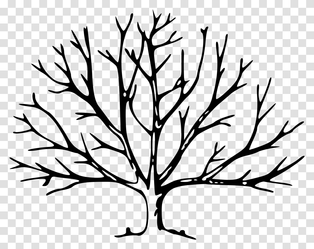 Branch Clipart Outline Trees No Leaves Tree With No Leaves, Gray, World Of Warcraft Transparent Png