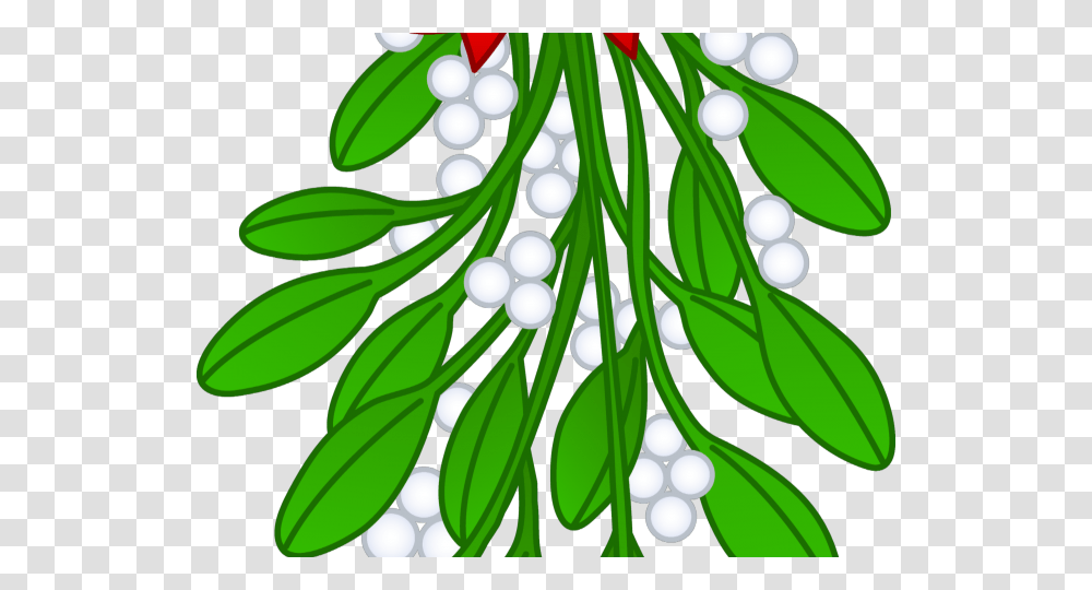 Branch Clipart, Plant, Tree, Ornament, Fir Transparent Png