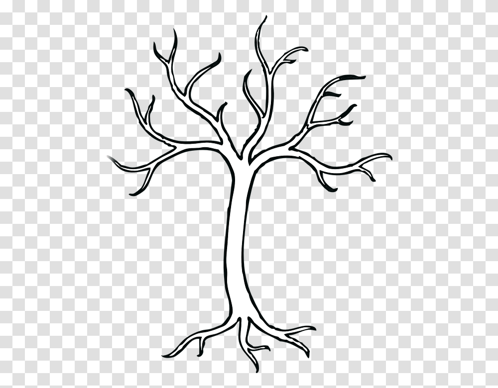 Branch Clipart Tree Bark, Plant, Root, Stencil, Silhouette Transparent Png
