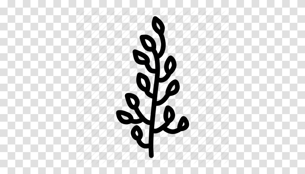 Branch Doodle Floral Flower Leaf Leaves Nature Sketch Tree, Plant, Ornament, Christmas Tree, Fir Transparent Png