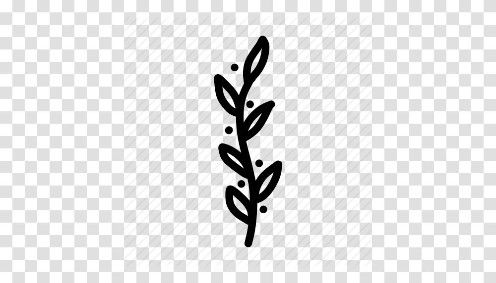 Branch Doodle Floral Leaf Leaves Nature Plant Sketch Tree Icon, Silhouette, Hand, Drawing Transparent Png