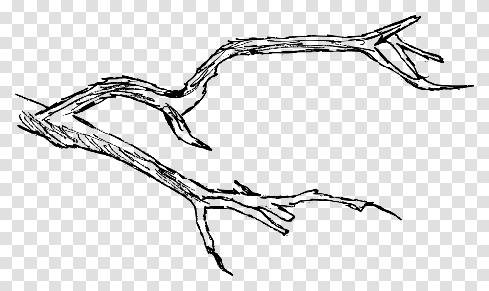 Branch Drawing, Gray, World Of Warcraft Transparent Png