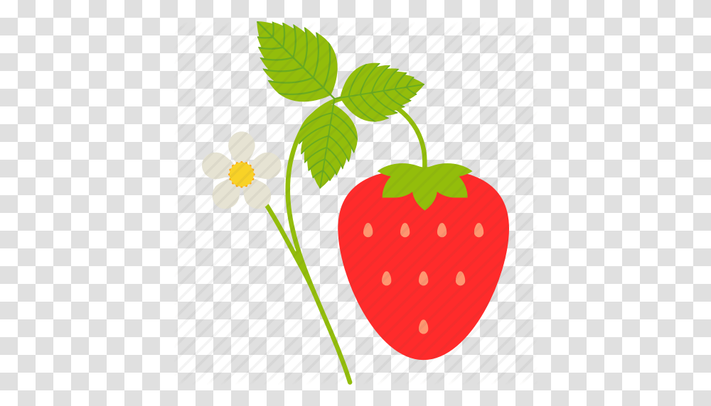Branch Flower Food Fruit Healthy Leaf Strawberry Icon, Plant, Green, Blossom, Vegetable Transparent Png