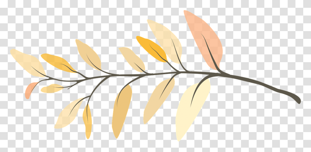 Branch Flower Twig Galho, Plant, Leaf, Seed, Grain Transparent Png