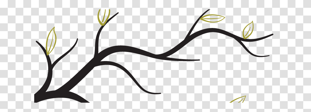 Branch Free Images Only, Slingshot, Glasses, Accessories, Accessory Transparent Png