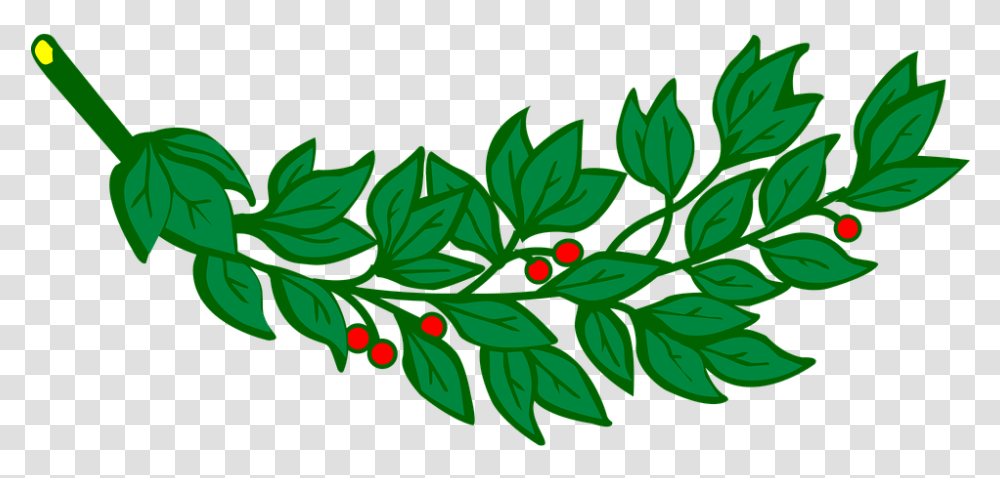 Branch Laurel Leaf Leafy Leaves, Plant, Floral Design, Pattern Transparent Png