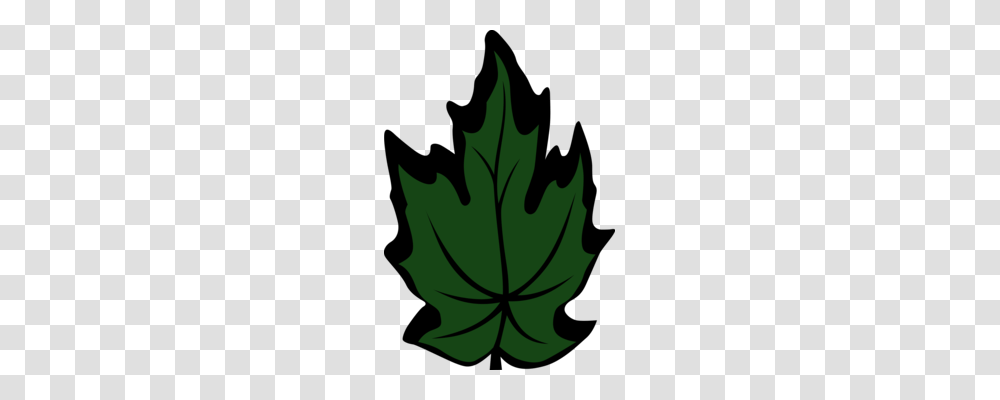 Branch Leaf Computer Icons Plant Stem Petal, Maple Leaf, Tree, Person, Human Transparent Png