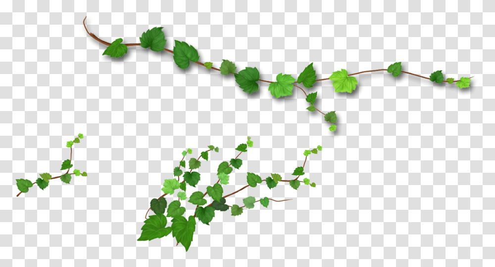 Branch Leaf Tree Realistic Green Leaves, Plant, Vine, Ivy Transparent Png