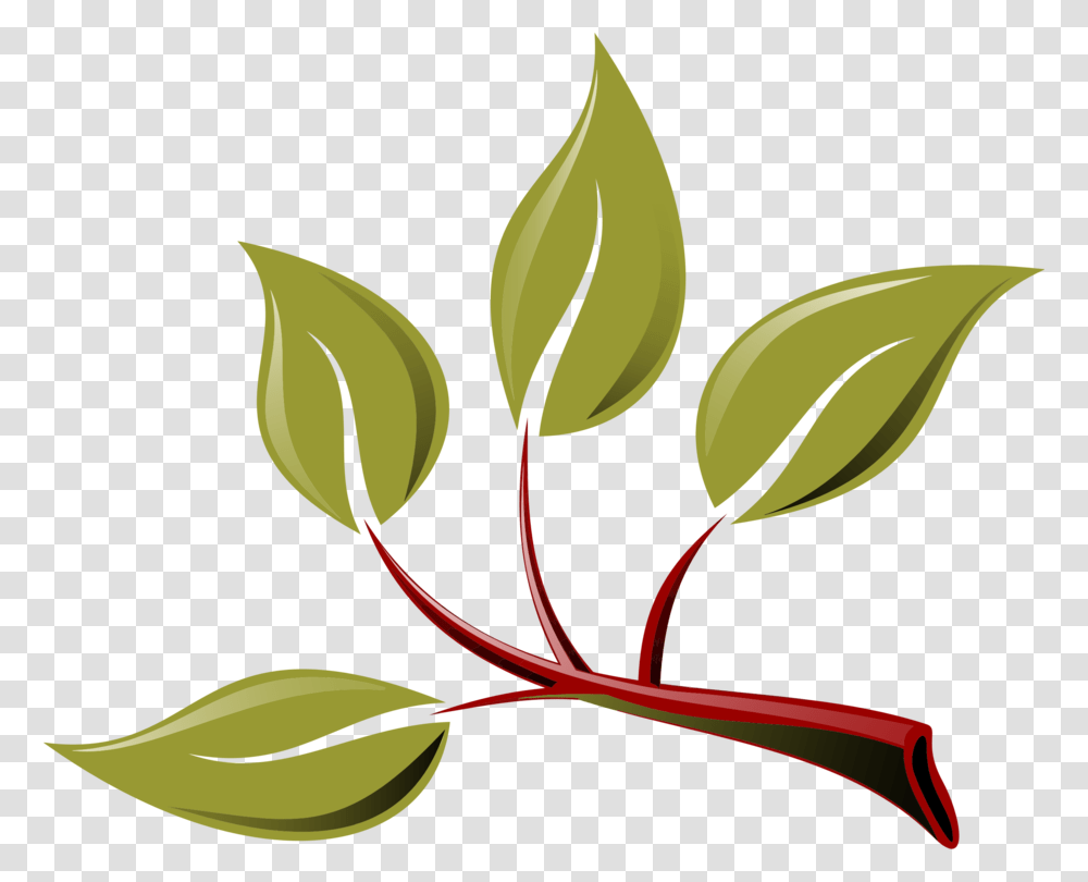 Branch Leaf Tree Twig Plant, Flower, Blossom, Pattern, Annonaceae Transparent Png