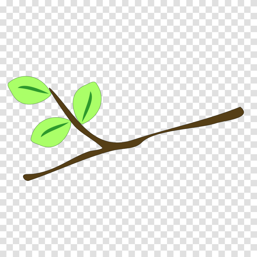 Branch Leaves Twig Tree Branch Clip Art, Leaf, Plant, Green, Flower Transparent Png
