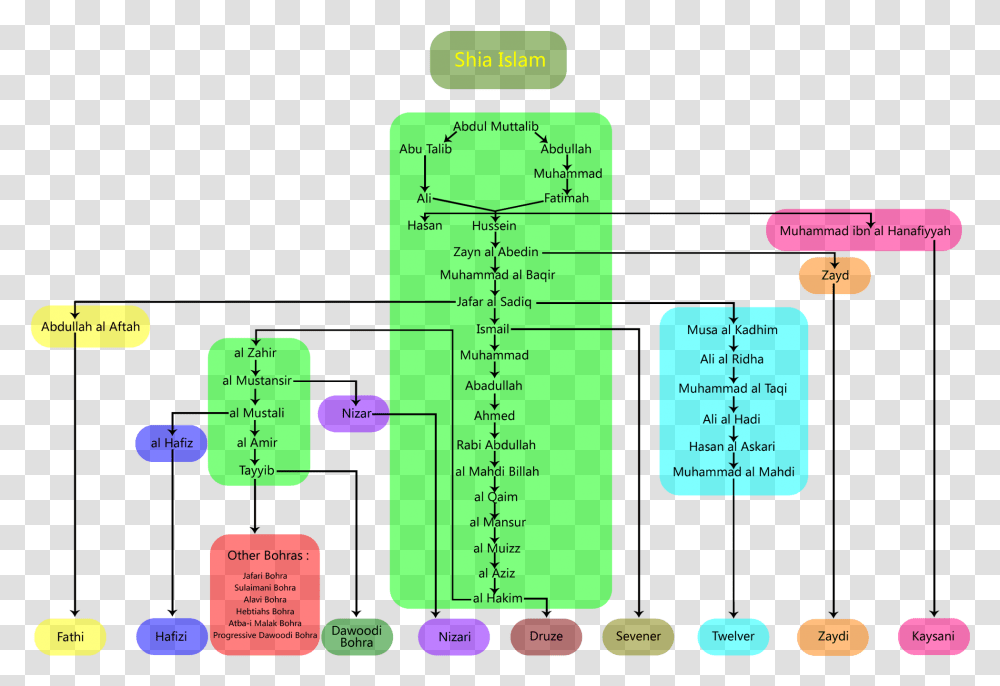 Branch Of Shi A Islam Shia Islam Branches, Plot, Diagram, Measurements, Cup Transparent Png