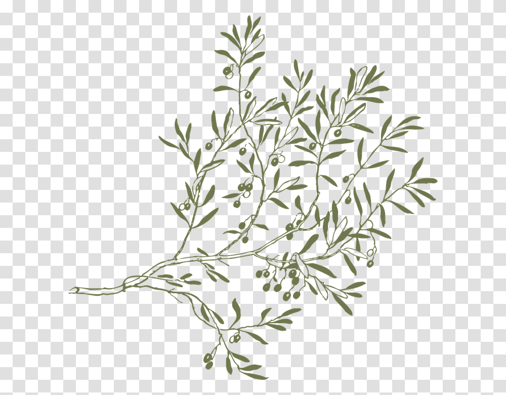 Branch Olive Leaves Twigs Green Plant Fruit Olive Tree Branch, Nature, Outdoors, Snowflake, Ice Transparent Png