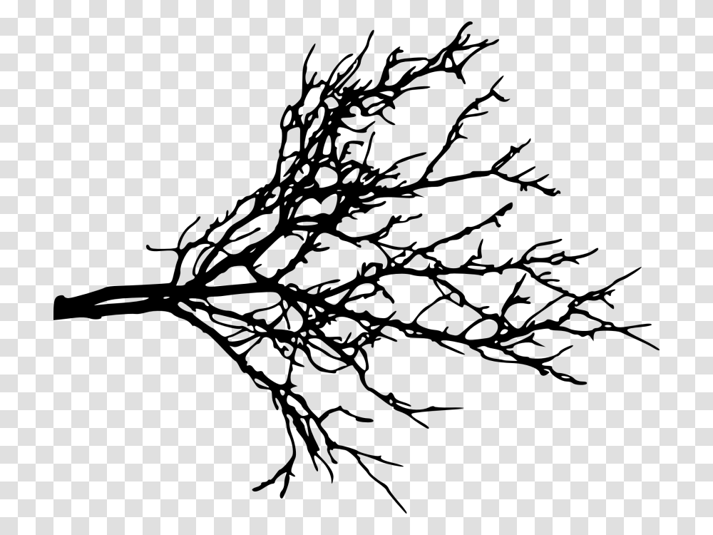 Branch Portable Network Graphics Clip Art Tree Twig Tree Branches Background, Plant, Root, Pattern, Fractal Transparent Png