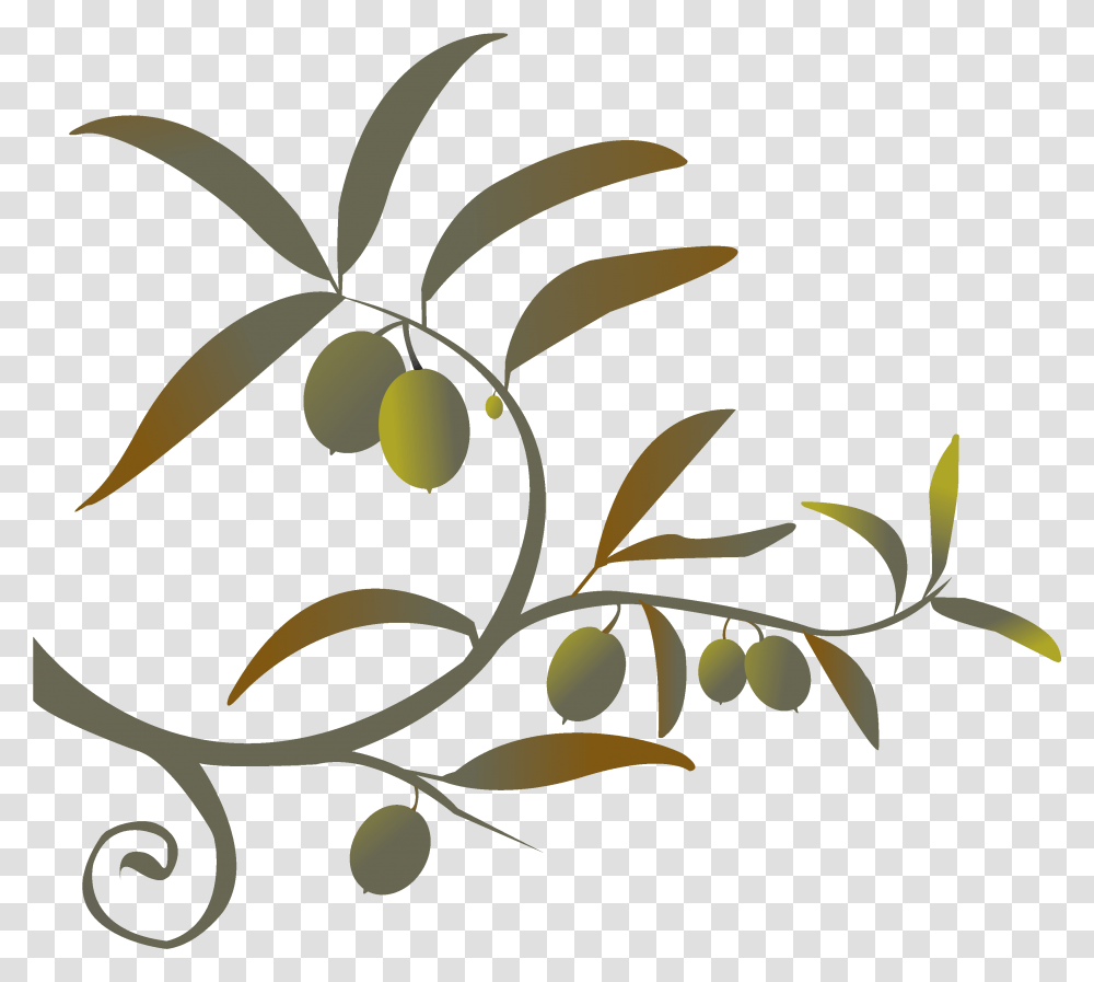 Branch Siren Song Of The Counter Olive Branch Images Clip Art, Plant, Food, Floral Design Transparent Png