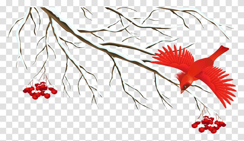 Branch Snow Clip Art Winter Birds Clip Art, Root, Plant, Animal, Cardinal Transparent Png