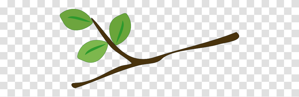 Branch Tree Clipart Explore Pictures, Label, Tennis Ball, Logo Transparent Png