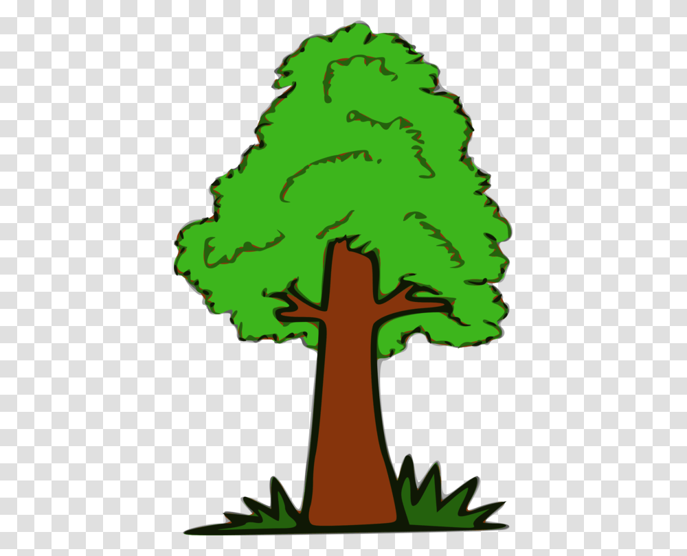 Branch Tree Document Diagram Encapsulated Postscript Free, Plant, Green, Moss, Rainforest Transparent Png
