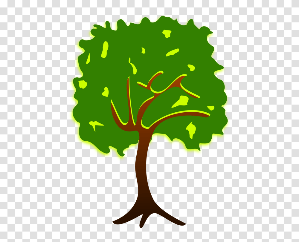 Branch Tree Drawing Plant Nature Story, Root, Flower, Blossom, Leaf Transparent Png