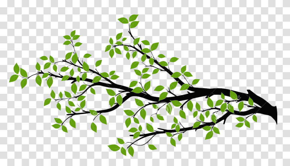 Branch Tree Drawing Royalty Free Branch Download Tree Branch Free, Plant, Leaf, Ivy, Vegetation Transparent Png
