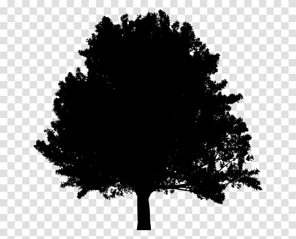 Branch Tree House Oak Ecology, Gray, World Of Warcraft Transparent Png