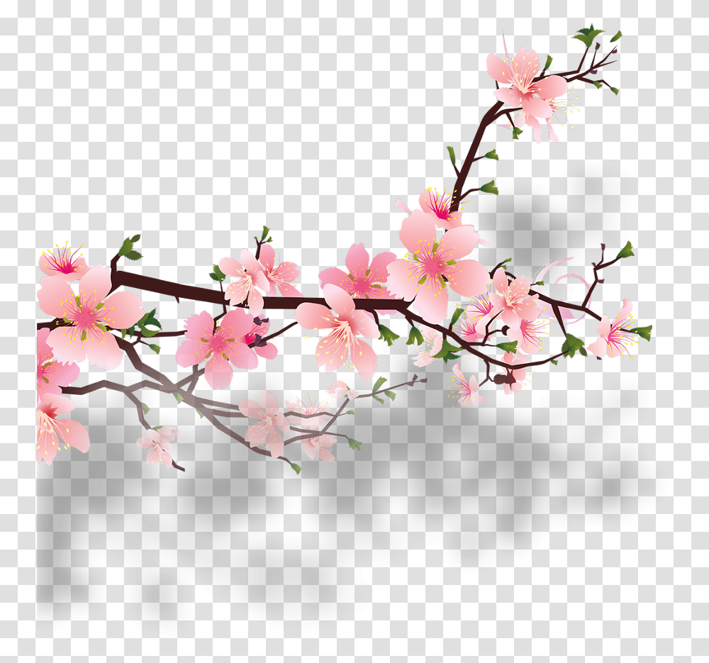 Branch Tree Nature Flower Garden Plant Foreground Peach Blossom, Cherry Blossom, Floral Design Transparent Png