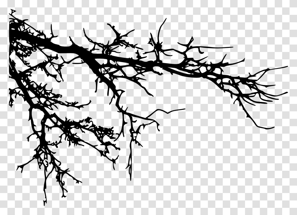 Branch Tree Silhouette Clip Art Tree Branches Silhouette, Wire, Barbed Wire Transparent Png