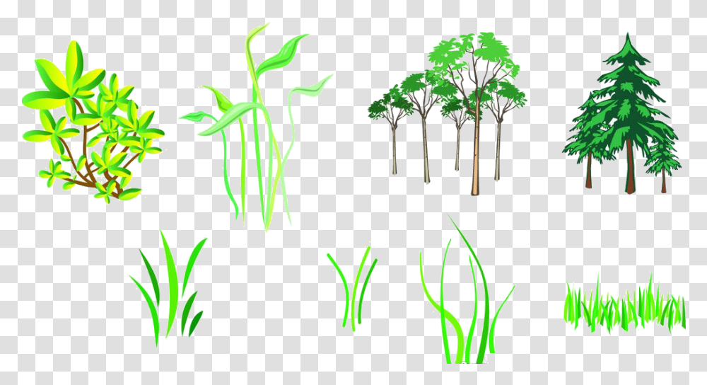 Branch Tree Silhouette Computer Monitor, Plant, Root, Green, Vegetable Transparent Png