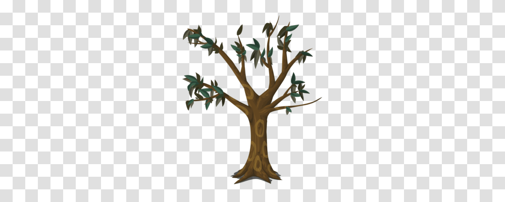 Branch Tree Trunk Forest Wood, Plant, Cross, Flower Transparent Png