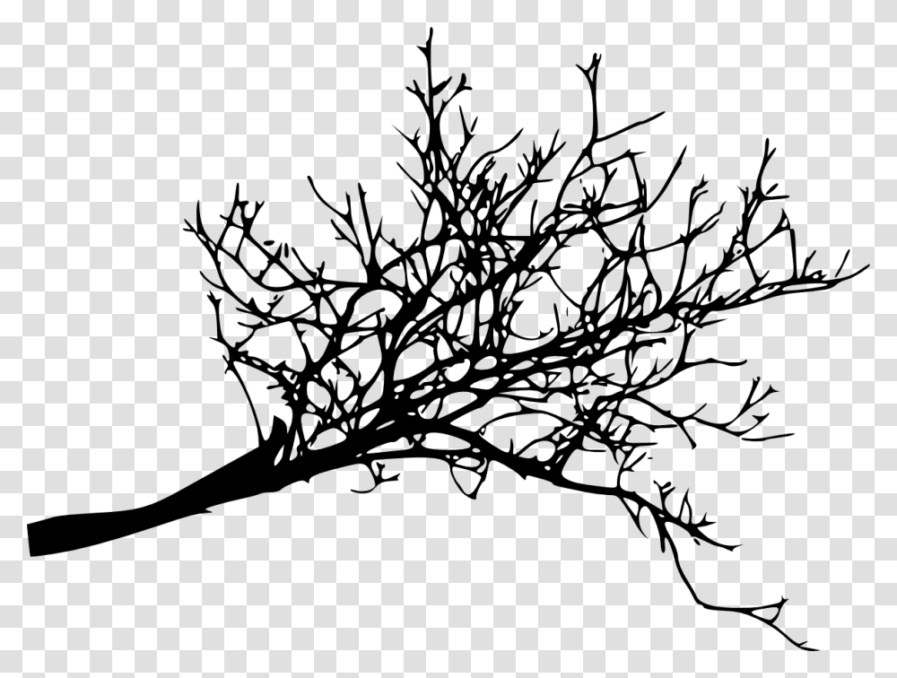Branch Tree Twig Woody Plant Tree Branch, Doodle, Drawing, Flower Transparent Png